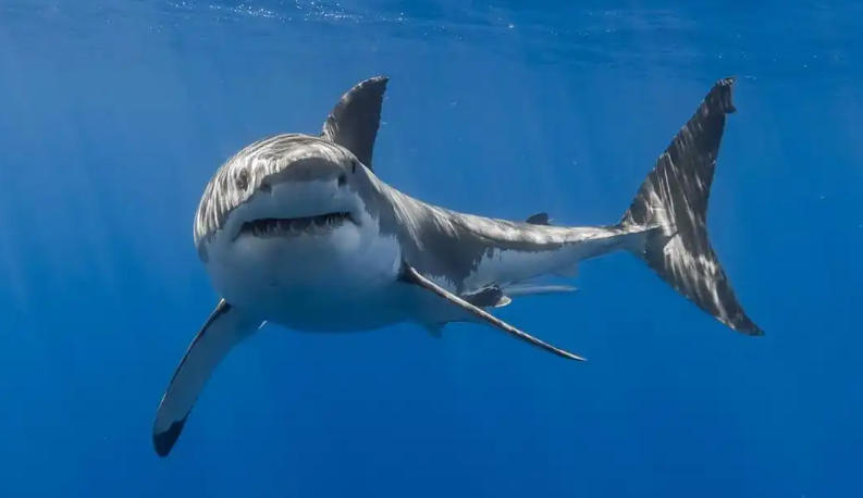 浙江天目山酒业有限公司轮播图1